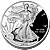 2011 Silver Eagle