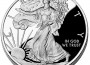 Proof Silver American Eagle (2010 US Mint image shown)